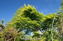 wbgarden spring 45